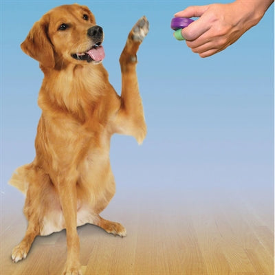 Clik-r petsafe Klicker fir Training