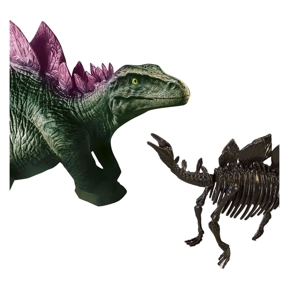 SES Prozkoumejte Dino a Skeleton Expeated 2in1-Stegosaurus