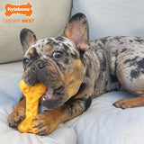 Nylabone Dura Chew Kość sera