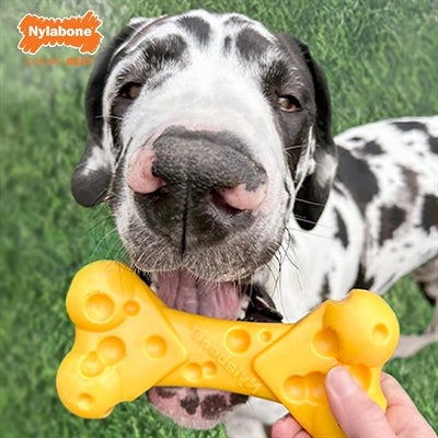 Nylabone dura tugga ostben