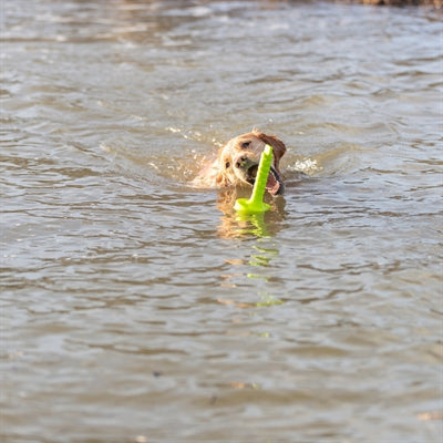 Activité Trixie Dog Mot-Aqua Forteer Dobber Limegroen