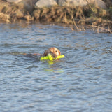 Activité Trixie Dog Mot-Aqua Forteer Dobber Limegroen