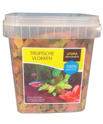 Fiakes tropicali di utopia
