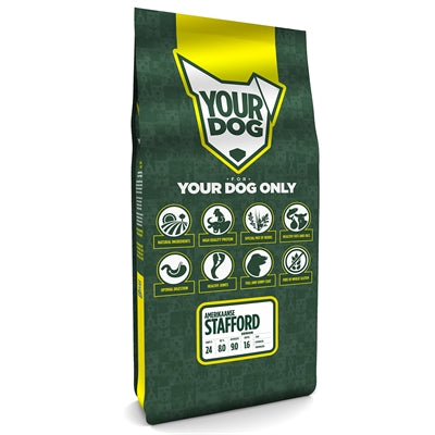 Yourdog American Stafford senior