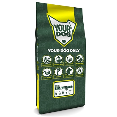 Yourdog Bavarian Bergzweethond Senior
