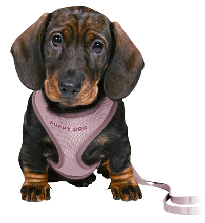 Trixie Junior Puppy Eigen Soft with Riem Lila