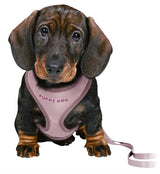 Trixie Junior Puppy Eigen Soft with Riem Lila