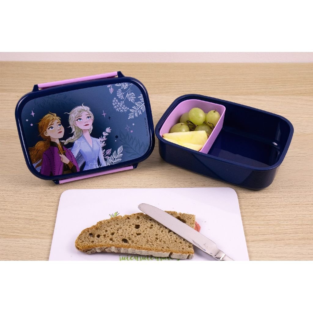 Boîte à lunch Frozen Undercover Disney