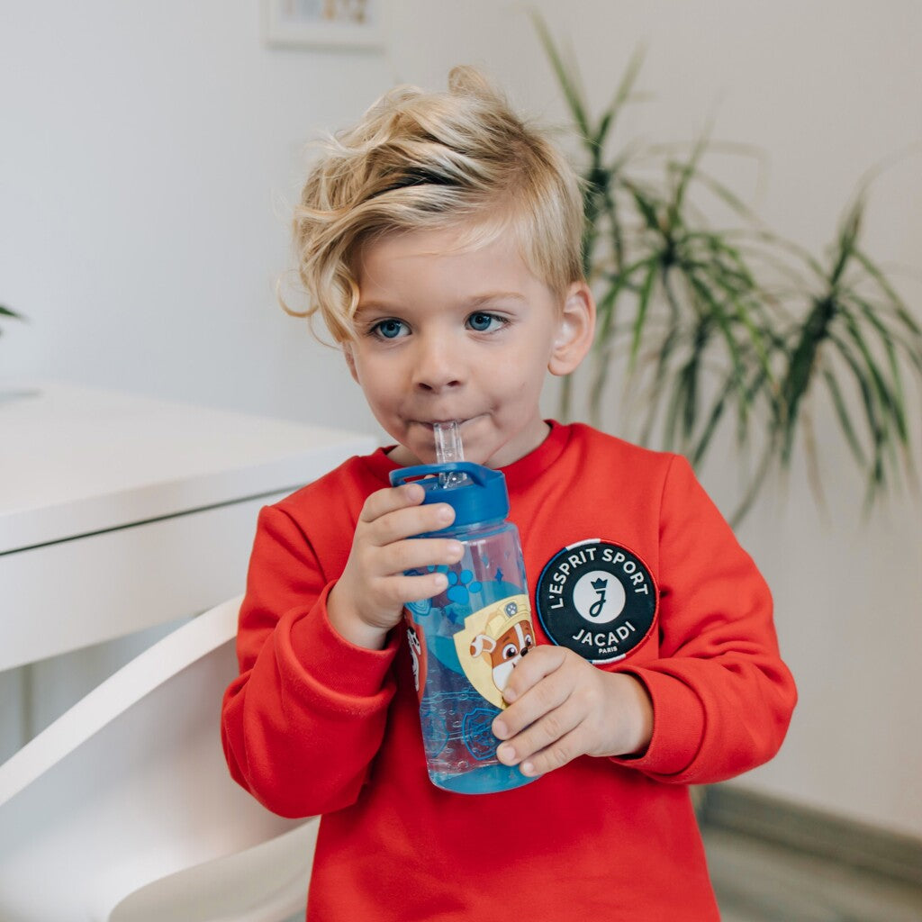 Undercover areo drikker flaske Paw Patrol, 500 ml