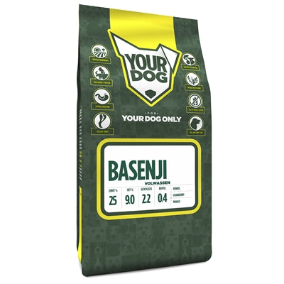 Yourdog Basenji Mature