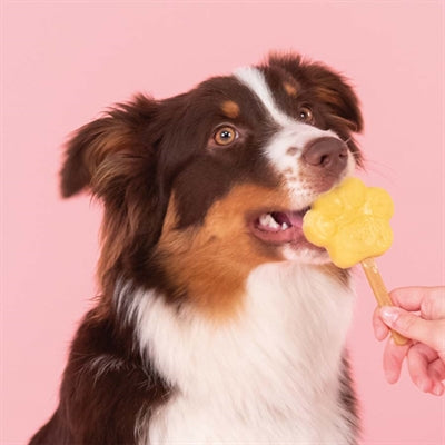 Smoofl Smoofl Ice Mix for Dog Apple