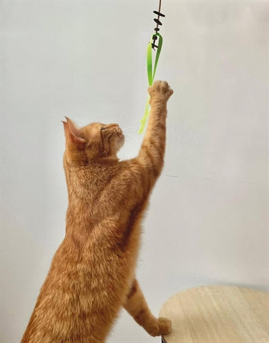 Martin Cat Toys Jason recycelte Assorti