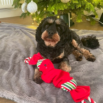Happy Pet Top n Tail Rope Weihnachtscracker rot