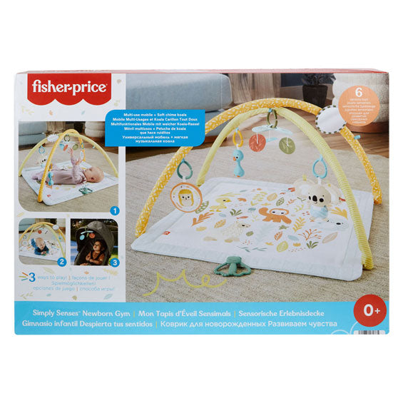Il prezzo di Fisher rileva semplicemente babygym