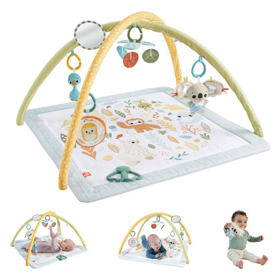Il prezzo di Fisher rileva semplicemente babygym