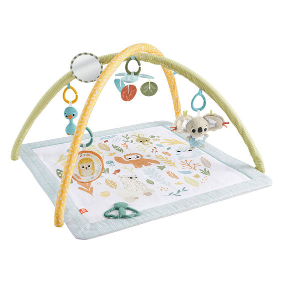 Il prezzo di Fisher rileva semplicemente babygym