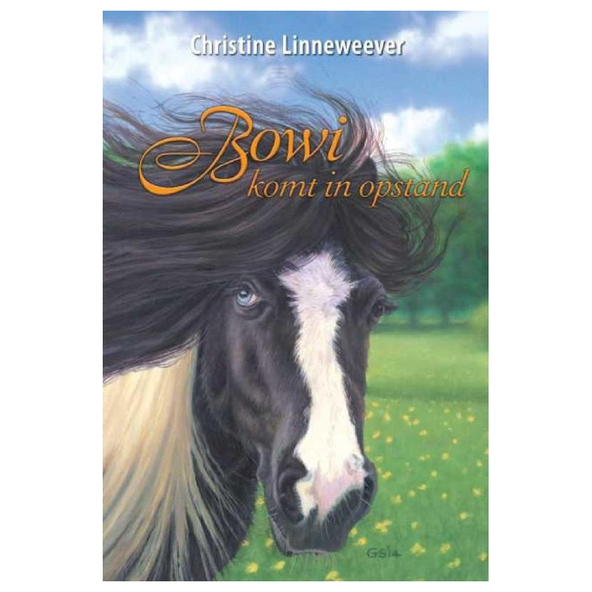 Kluitman Golden Horses Publisher: Bowi ist abgelehnt