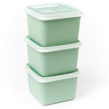 DBP Alaska Frozen Boxen Quadrat 0,75 l 3 Stück Minze grün