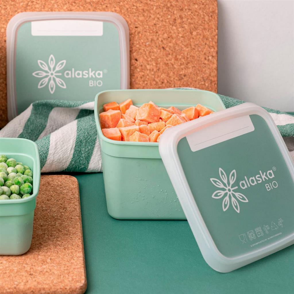 DBP Alaska Frozen Boxen Quadrat 0,75 l 3 Stück Minze grün