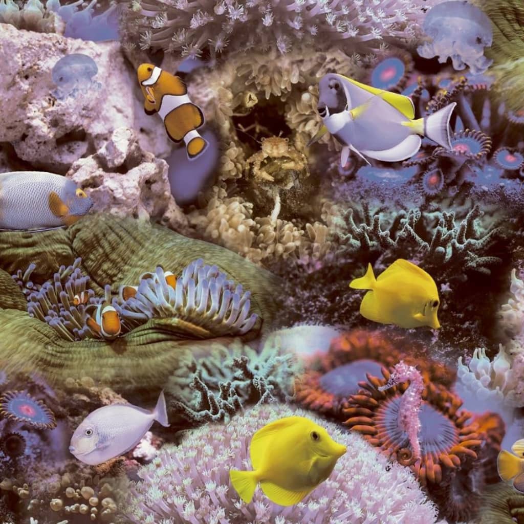 Noordwand Noordwand bakgrunnsbilde Gode vibber Korall og tropisk fisk Geel og lilla