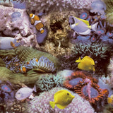 Noordwand Noordwand bakgrunnsbilde Gode vibber Korall og tropisk fisk Geel og lilla