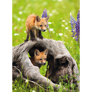 RAVENSBURGER PULZES FOXES 300 XXL