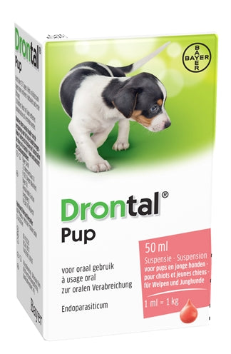 Bayer Dronttal Worming Pup