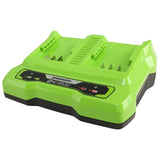 GreenWorks Greenworks battery charger with double port 24 V 2 A