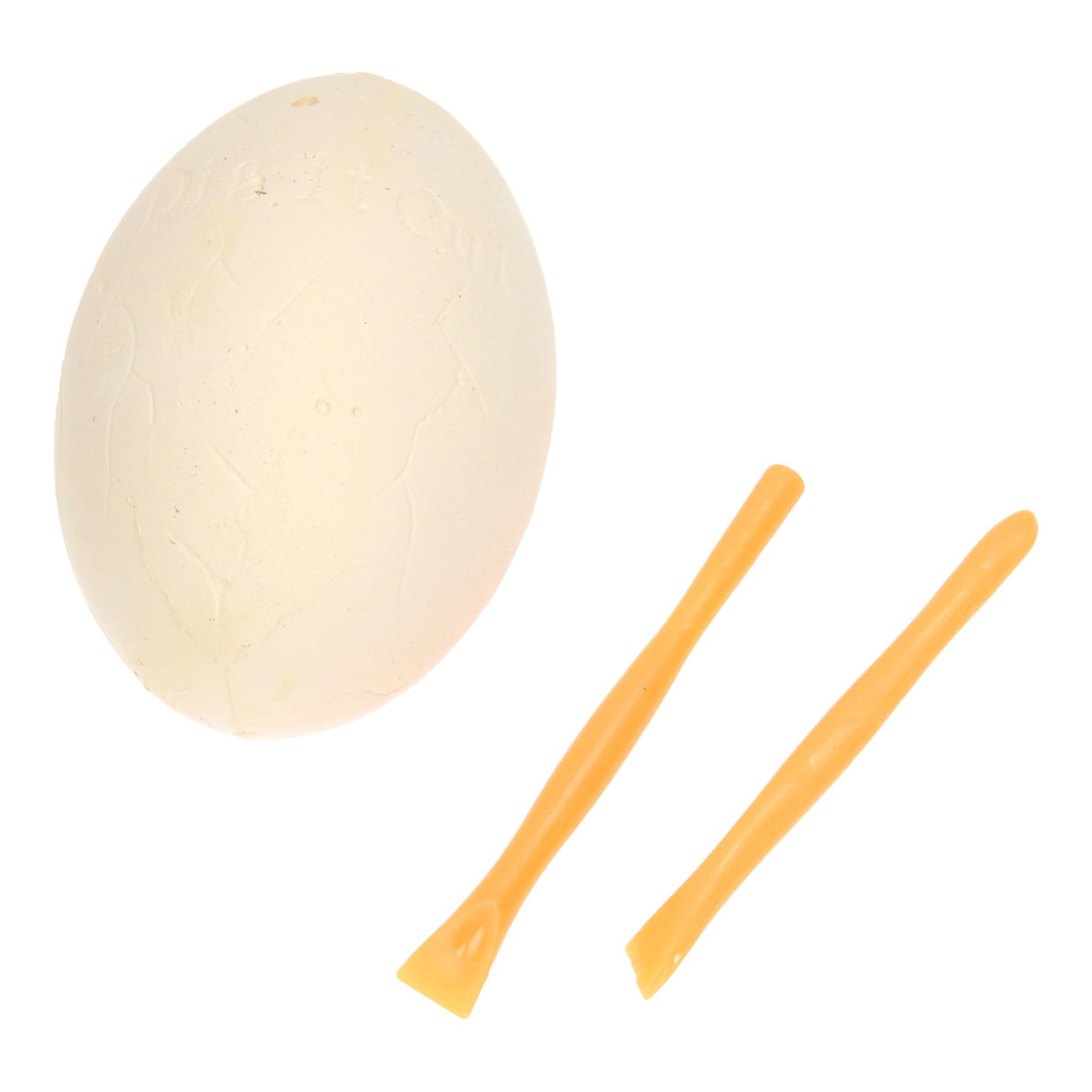 Fossil-EGG Dinosaurus