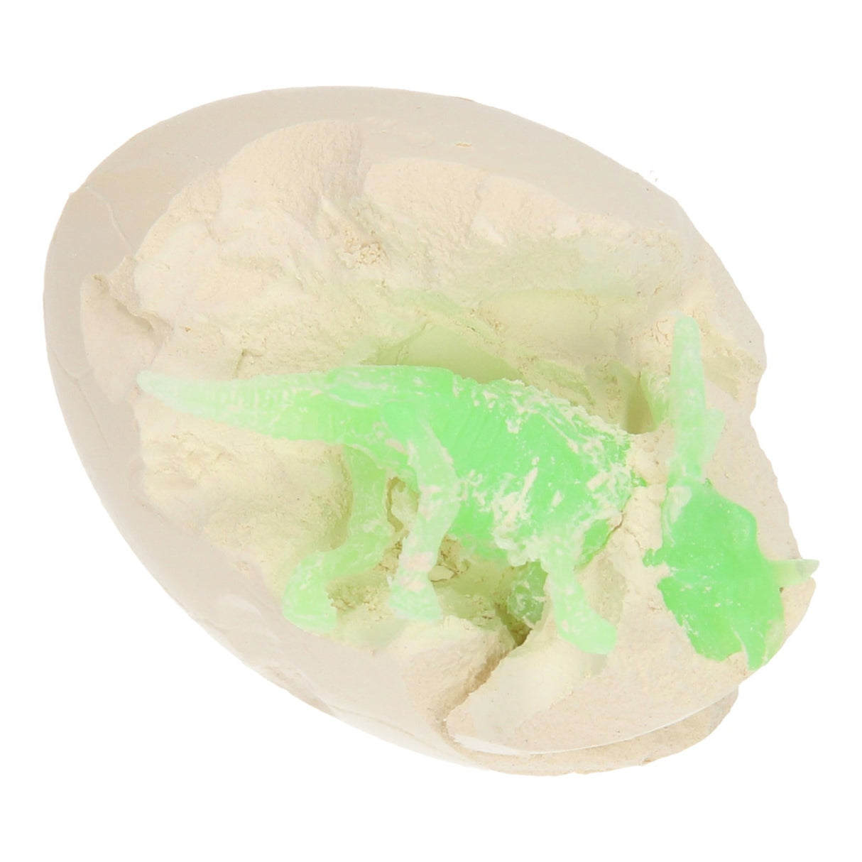Fossil-EGG Dinosaurus