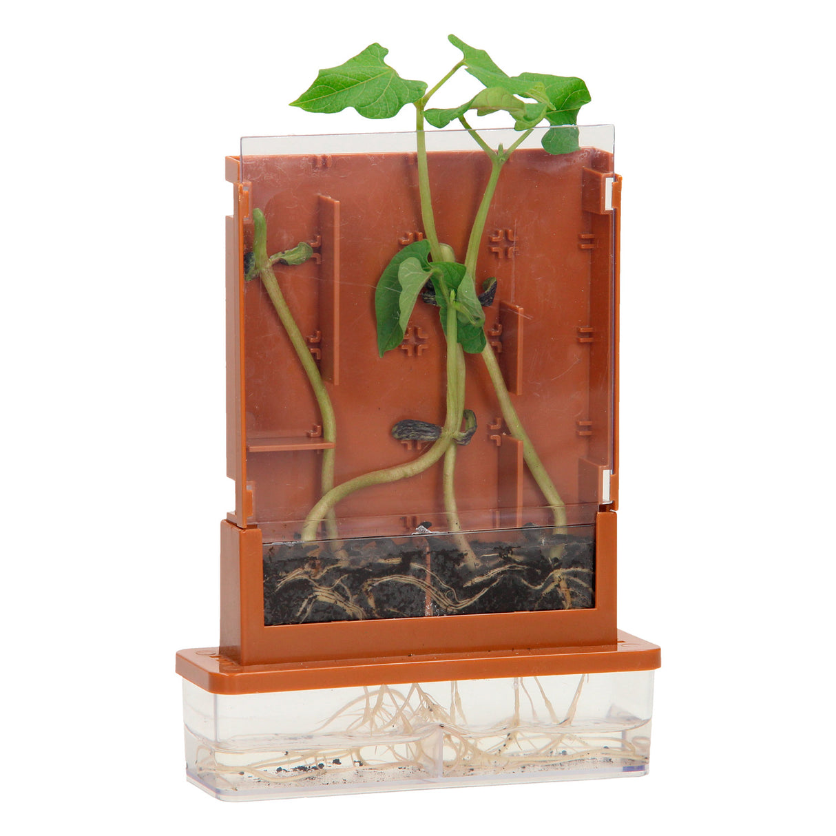 Eksperimenter - Planter Doolhof, 21dlg.