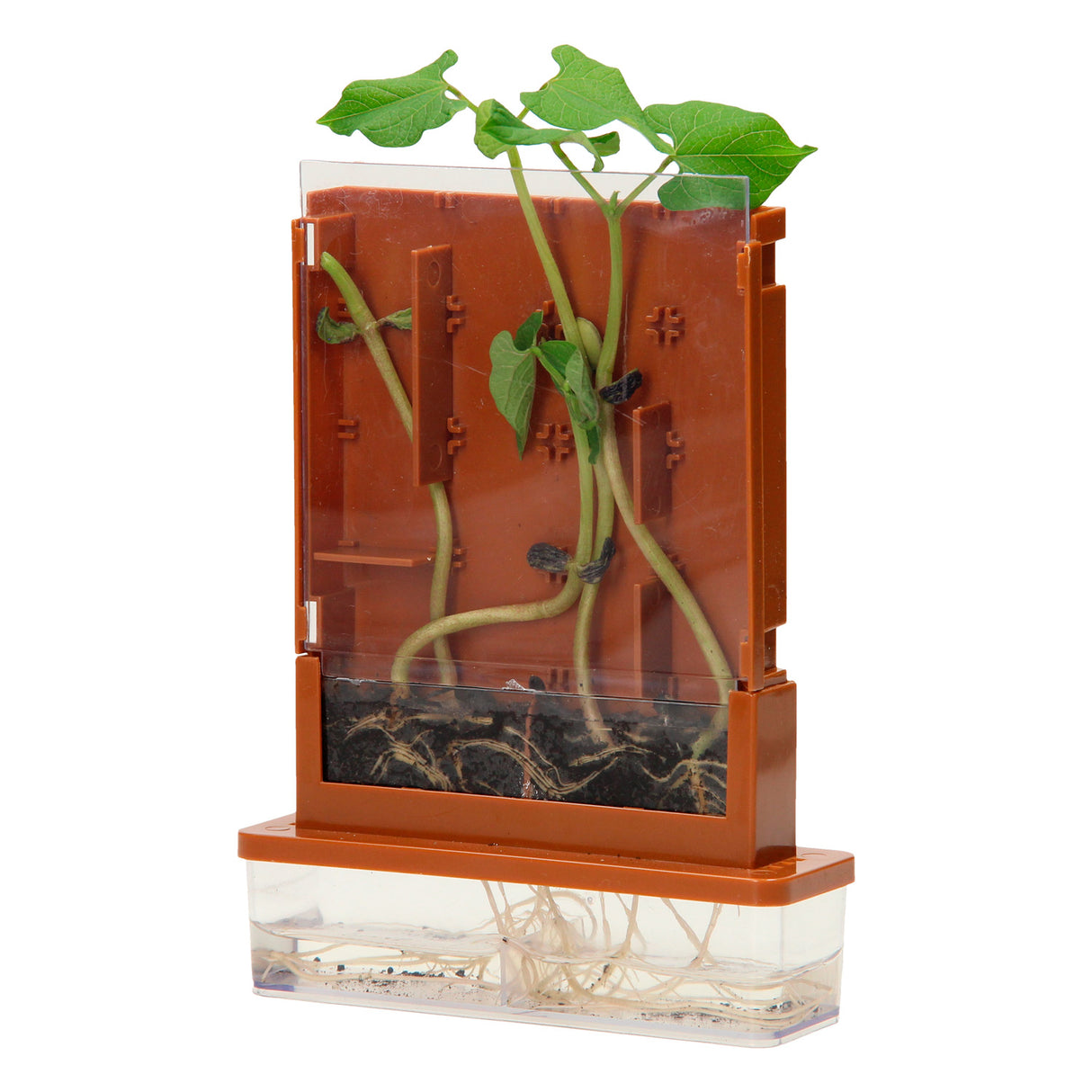 Eksperimenter - Planter Doolhof, 21dlg.