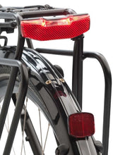 Axa Taillight Blueline Hub -Dynamo Estable 50 mm