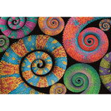 Clementoni Colorboom Collection Puzzle Curly 500 stykker