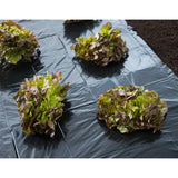 Nature Nature Cover Foil 4x6 M 50µ Black