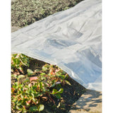 Copertura dell'impianto naturale 4x6 m 200µ trasparente