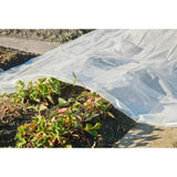 Copertura dell'impianto naturale 4x6 m 200µ trasparente