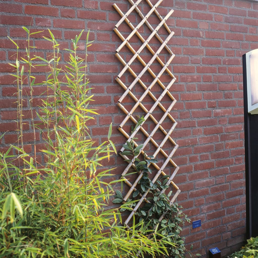 Nature Latwerk für Garten 100x200 cm Bambus 6040722