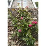 Nature Latwerk für Garten 100x200 cm Bambus 6040722