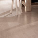 Čistilec HG ECO 1L