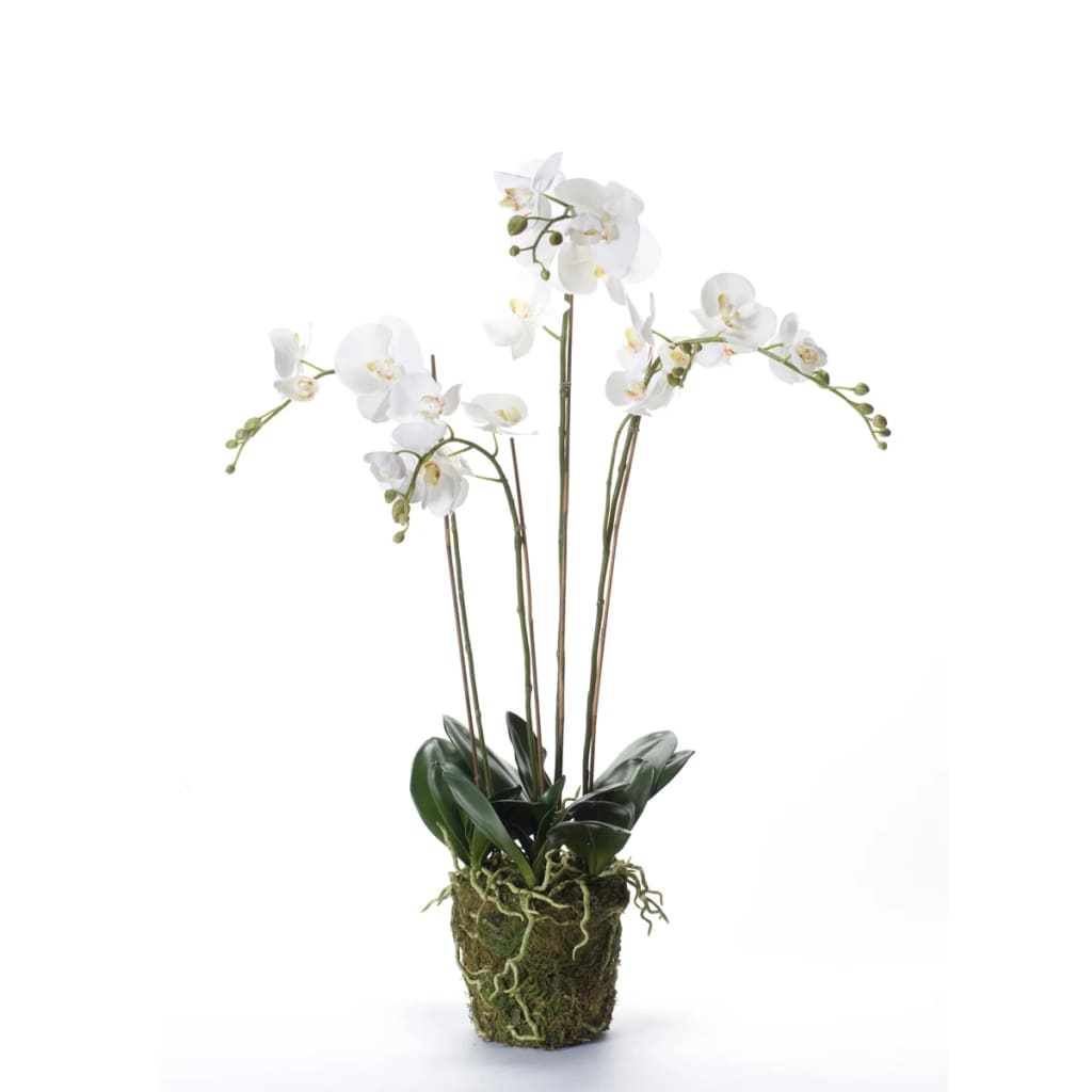 Emerarrd Smaragd Art Planz Orchid mat Moos wäiss 90 cm 20.355