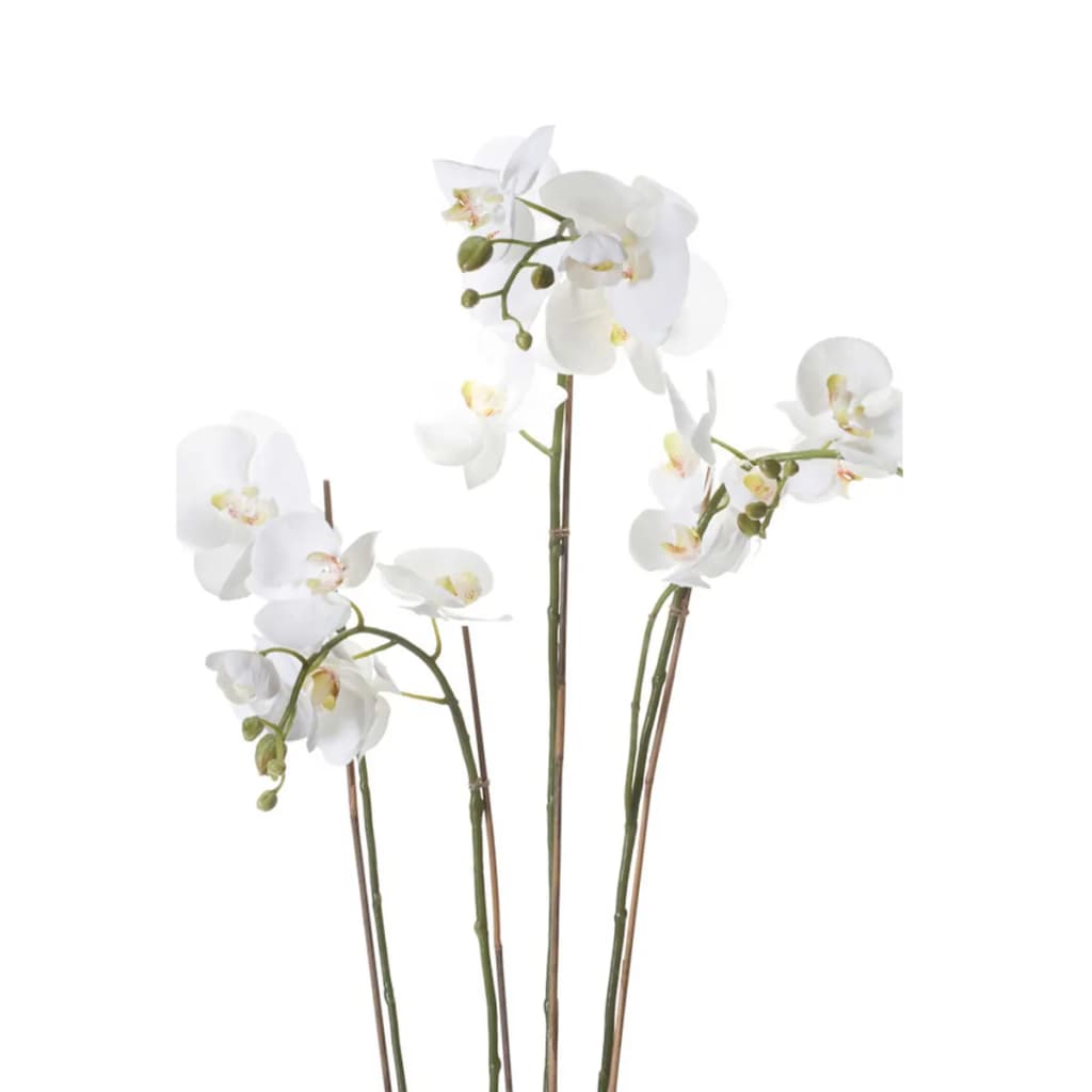 Emerarrd Smaragd Art Planz Orchid mat Moos wäiss 90 cm 20.355