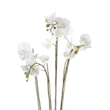 Emerarrd Smaragd Art Planz Orchid mat Moos wäiss 90 cm 20.355