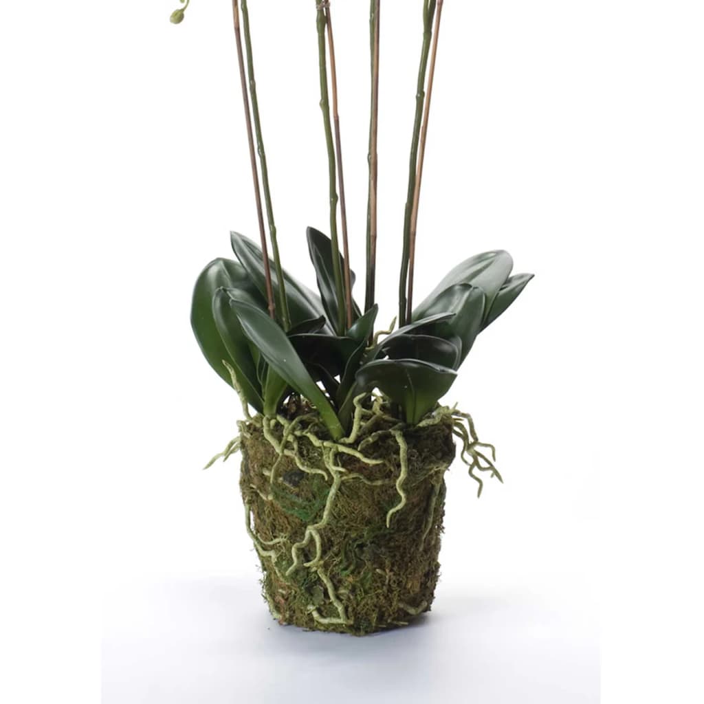 Emerarrd Smaragd Art Planz Orchid mat Moos wäiss 90 cm 20.355