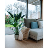 Emaragd Art Planz Heliconia Planz gréng 125 cm 419837