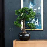 Emerald Emerald Art Plant Mini Bonsai Ficus Green 47 cm 420006