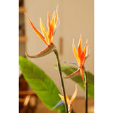 Planta de arte esmeralda esmeralda con maceta y flores Strelitzia 120 cm
