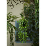 Emerald Emerald Art plant hanging in pot Lantern plant 50 cm