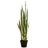 Smaragd Smaragdkunstwerk in Plastiktopf Sanseveria 97 cm