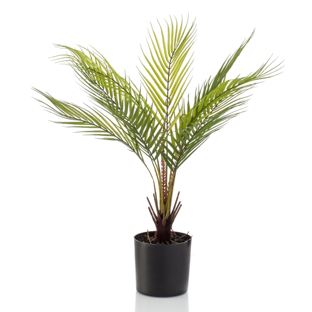 Emerald Emerald Art Plant in Topf Chamaedorea Palm 50 cm